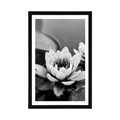 POSTER WITH MOUNT LOTUS FLOWER IN THE LAKE IN BLACK AND WHITE - BLACK AND WHITE - POSTERS