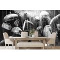 WALL MURAL BLACK AND WHITE PASTRIES ON A ROPE - BLACK AND WHITE WALLPAPERS - WALLPAPERS