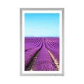 POSTER WITH MOUNT ENDLESS LAVENDER FIELD - NATURE - POSTERS