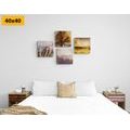 CANVAS PRINT SET WONDERS OF NATURE - SET OF PICTURES - PICTURES