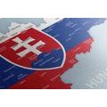 OBRAZ MAPA SLOVENSKA SO ŠTÁTNYM ZNAKOM A OKOLITÝMI ŠTÁTMI - OBRAZY MAPY - OBRAZY