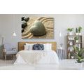CANVAS PRINT STONE HEART - PICTURES FENG SHUI - PICTURES