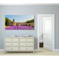 CANVAS PRINT PROVENCE WITH LAVENDER FIELDS - PICTURES OF CITIES - PICTURES