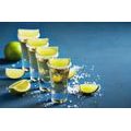 WALL MURAL MEXICAN TEQUILA - WALLPAPERS FOOD AND DRINKS - WALLPAPERS