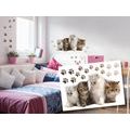 DECORATIVE WALL STICKERS KITTENS - FOR CHILDREN - STICKERS