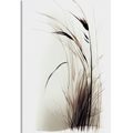 CANVAS PRINT MINIMALISTIC DRY GRASS - PICTURES OF GRASS - PICTURES