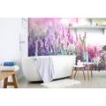 WALL MURAL MAGICAL LAVENDER FLOWERS - WALLPAPERS FLOWERS - WALLPAPERS