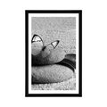 POSTER WITH MOUNT BUTTERFLY ON A ZEN STONE IN BLACK AND WHITE - BLACK AND WHITE - POSTERS