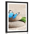 POSTER WITH MOUNT BLUE BUTTERFLY ON A ZEN STONE - FENG SHUI - POSTERS