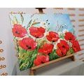 CANVAS PRINT PAINTED FIELD POPPIES - PICTURES FLOWERS - PICTURES