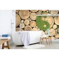 WALL MURAL YIN AND YANG IN ECO DESIGN - WALLPAPERS FENG SHUI - WALLPAPERS