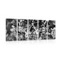 5-PIECE CANVAS PRINT ARTISTIC SKULL IN BLACK AND WHITE - BLACK AND WHITE PICTURES - PICTURES