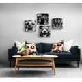 CANVAS PRINT SET ANIMALS IN BLACK AND WHITE POP ART STYLE - SET OF PICTURES - PICTURES