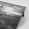 WALL MURAL SUNSET ON A BEACH IN BLACK AND WHITE - BLACK AND WHITE WALLPAPERS - WALLPAPERS