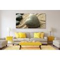CANVAS PRINT ZEN STONE IN THE SHAPE OF A HEART - PICTURES FENG SHUI - PICTURES