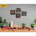 CANVAS PRINT SET SPECIALTIES ON A DARK BACKGROUND - SET OF PICTURES - PICTURES