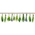 SELF ADHESIVE PHOTO WALLPAPER FOR KITCHEN FRESH HERBS - WALLPAPERS