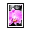 POSTER WITH MOUNT BEAUTIFUL ORCHID AND STONES - FENG SHUI - POSTERS