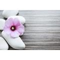 WALL MURAL INTERPLAY OF STONES AND A PINK FLOWER - WALLPAPERS FENG SHUI - WALLPAPERS