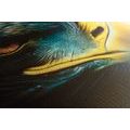 CANVAS PRINT BLUE-GOLD EAGLE - PICTURES LORDS OF THE ANIMAL KINGDOM - PICTURES