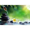 CANVAS PRINT ZEN STONES IN A FOREST STREAM - PICTURES FENG SHUI - PICTURES