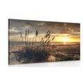 CANVAS PRINT SUNSET ON A BEACH - PICTURES OF NATURE AND LANDSCAPE - PICTURES