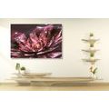 CANVAS PRINT FLORAL ILLUSION - ABSTRACT PICTURES - PICTURES