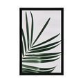 POSTER BEAUTIFUL PALM LEAF - STILL LIFE - POSTERS