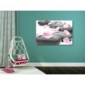 CANVAS PRINT PEBBLES ON WELLNESS STONES - PICTURES FENG SHUI - PICTURES