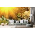 WALL MURAL ANGEL WITH SUN RAYS - WALLPAPERS ANGELS - WALLPAPERS