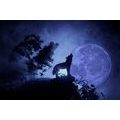 CANVAS PRINT WOLF IN THE FULL MOON - PICTURES OF ANIMALS - PICTURES