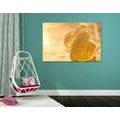 CANVAS PRINT ROMANTIC HEARTS - PICTURES LOVE - PICTURES