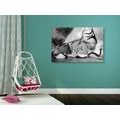 CANVAS PRINT ROMANTIC CONFESSION IN BLACK AND WHITE DESIGN: LOVE - BLACK AND WHITE PICTURES - PICTURES