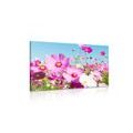 CANVAS PRINT MEADOW OF SPRING FLOWERS - PICTURES FLOWERS - PICTURES