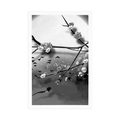POSTER TREE BRANCHES UNDER THE FULL MOON IN BLACK AND WHITE - BLACK AND WHITE - POSTERS