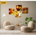 CANVAS PRINT SET IN ETHNO STYLE - SET OF PICTURES - PICTURES