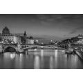 WALL MURAL DAZZLING BLACK AND WHITE PANORAMA OF PARIS - BLACK AND WHITE WALLPAPERS - WALLPAPERS