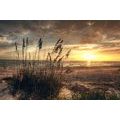 CANVAS PRINT SUNSET ON A BEACH - PICTURES OF NATURE AND LANDSCAPE - PICTURES