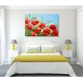 CANVAS PRINT PAINTED FIELD POPPIES - PICTURES FLOWERS - PICTURES