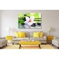 CANVAS PRINT JAPANESE ORCHID - PICTURES FENG SHUI - PICTURES