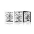 POSTER WITH MOUNT SYMBOL OF THE TREE OF LIFE IN BLACK AND WHITE - BLACK AND WHITE - POSTERS