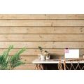 WALL MURAL WITH A WOOD THEME - WALLPAPERS WITH IMITATION OF WOOD - WALLPAPERS