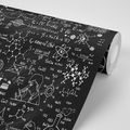 WALLPAPER SCIENCE BOARD - BLACK AND WHITE WALLPAPERS - WALLPAPERS
