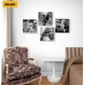 CANVAS PRINT SET HEAVENLY HARMONY IN BLACK AND WHITE - SET OF PICTURES - PICTURES