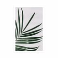 POSTER BEAUTIFUL PALM LEAF - STILL LIFE - POSTERS