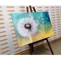 CANVAS PRINT MAGICAL DANDELION - PICTURES FLOWERS - PICTURES