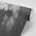 WALL MURAL FOREST IN A BLACK AND WHITE FOG - BLACK AND WHITE WALLPAPERS - WALLPAPERS