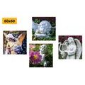 CANVAS PRINT SET A TOUCH OF HEAVENLY PEACE - SET OF PICTURES - PICTURES