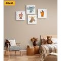 CANVAS PRINT SET ANIMAL INDIANS - SET OF PICTURES - PICTURES