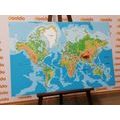 DECORATIVE PINBOARD CLASSIC WORLD MAP - PICTURES ON CORK - PICTURES